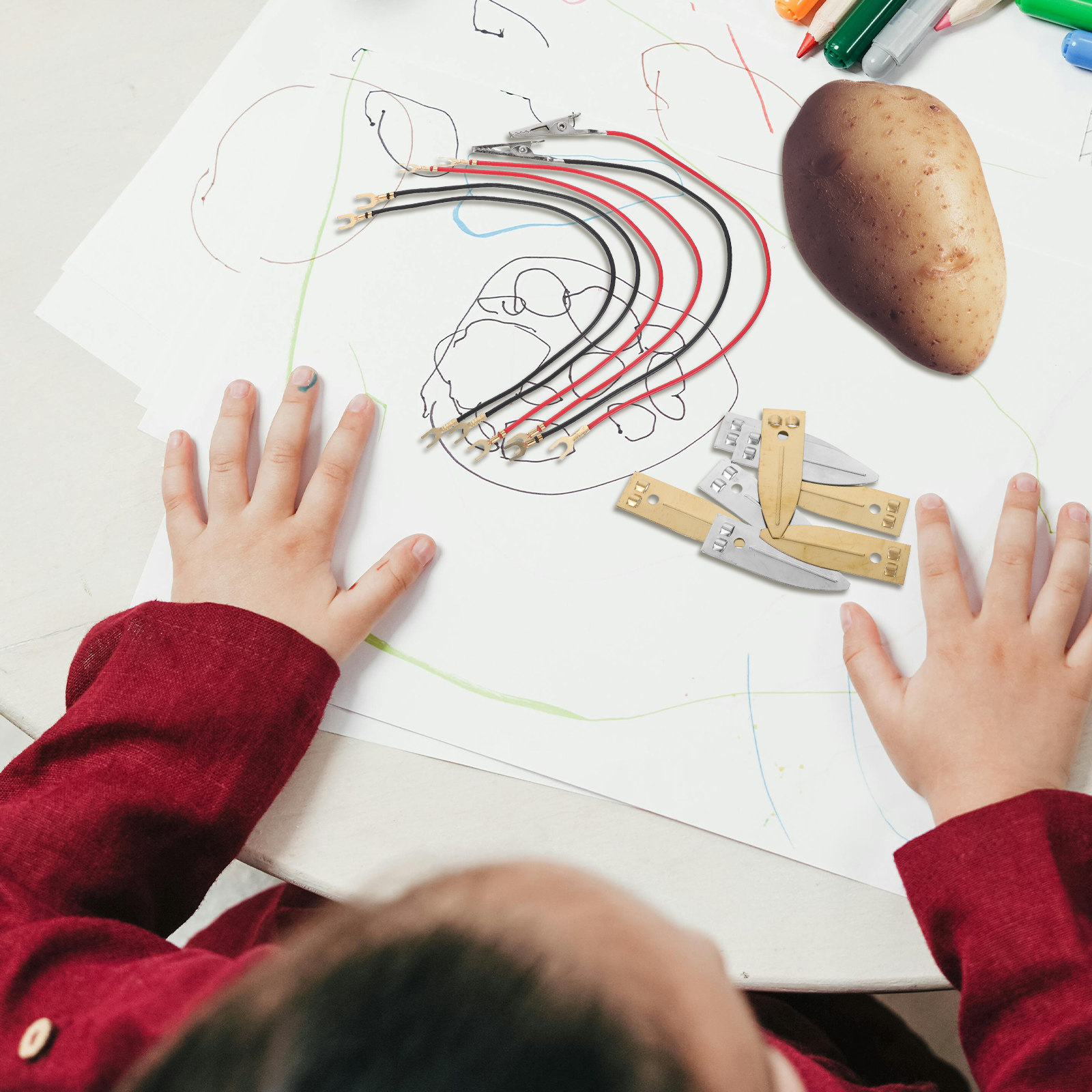 フルーツ電池を使った科学キット。塩水を使ったDIY STEM - Renewable Energy For Kids のレビューと価格